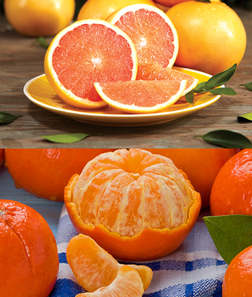 Mandarins & Red Grapefruit