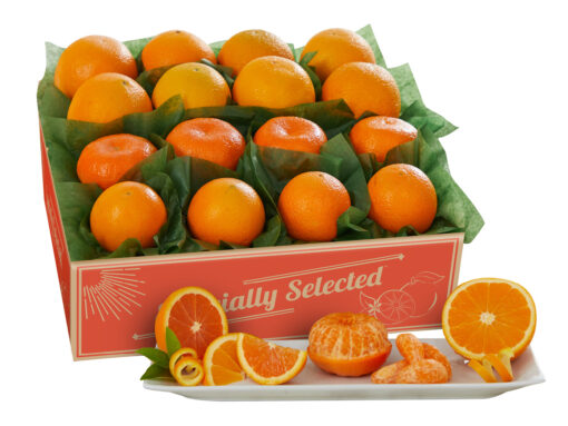 1 Tray Orange Medley