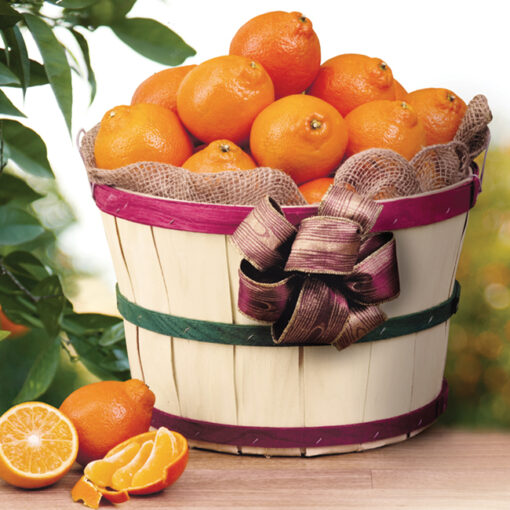 Honeybell & Red Grapefruit Grove Basket Deluxe