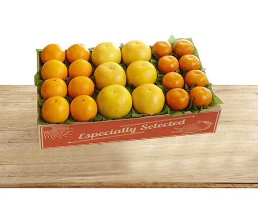 Jumbo Citrus Medley