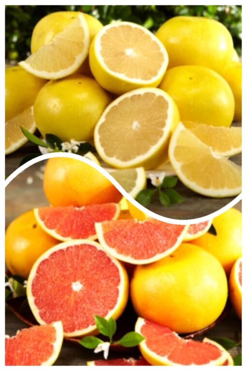 Red & White Grapefruit Combo